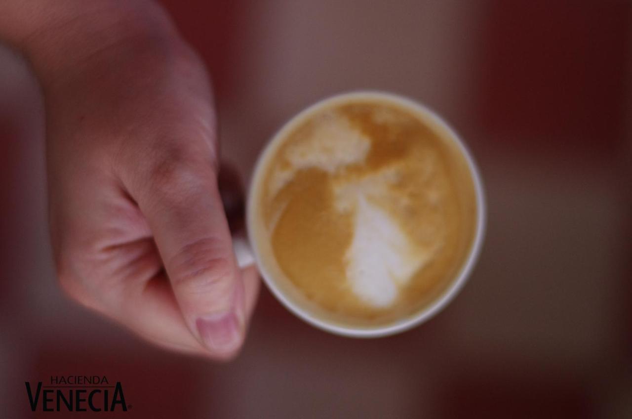 Hacienda Venecia Coffee Farm Hotel San Peregrino Экстерьер фото