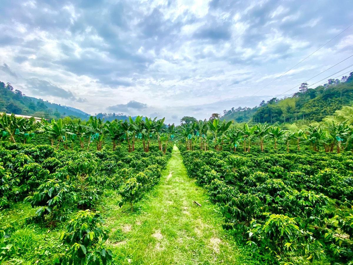 Hacienda Venecia Coffee Farm Hotel San Peregrino Экстерьер фото