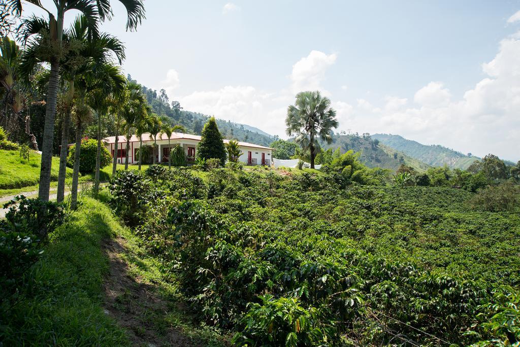 Hacienda Venecia Coffee Farm Hotel San Peregrino Номер фото