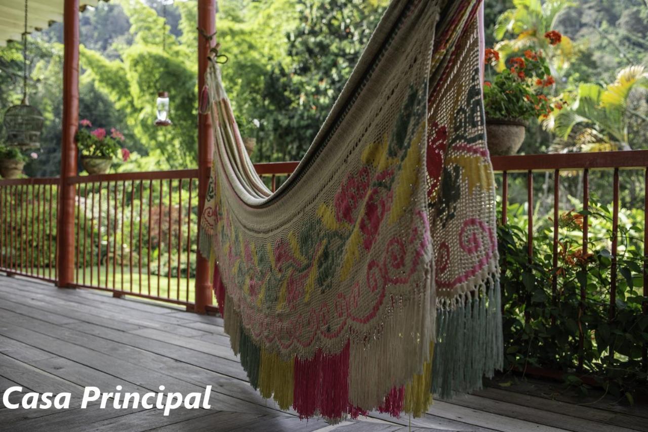 Hacienda Venecia Coffee Farm Hotel San Peregrino Экстерьер фото